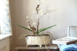 Ferienwohnung Zauberhaft - Detailaufnahme Orchidee im Wohnzimmer