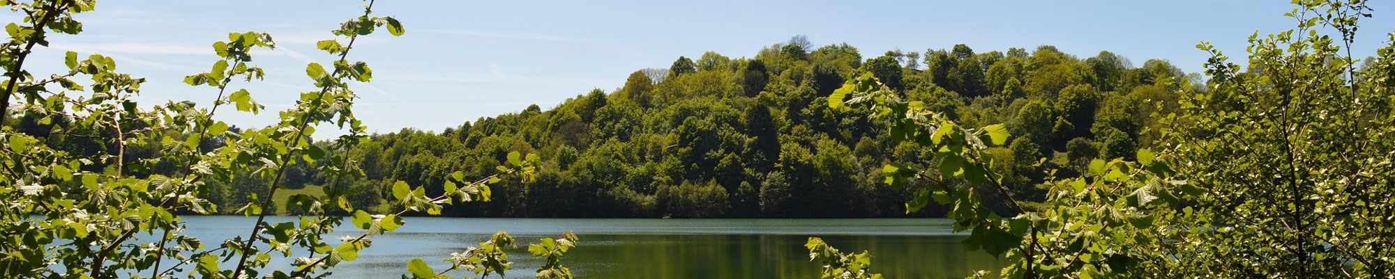 Weinfelder Maar im Sommer